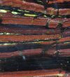Polished Tiger Iron Stromatolite - ( Billion Years) #92948-1